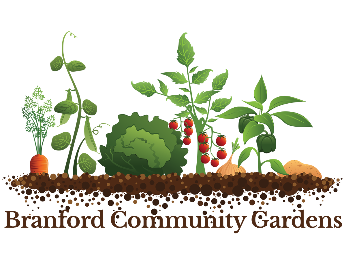 Branford Community Gardens